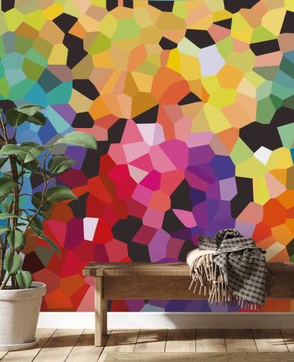 murale di carta da parati astratta personalizzato colorato chiamato Fooling Around di Shandra Smith per uffici