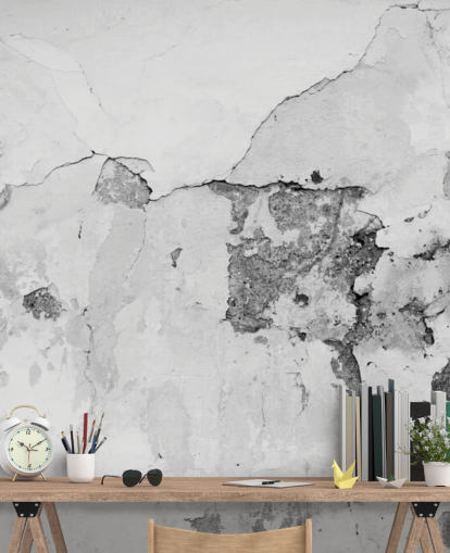 Cracked Grey and White Concrete Wall Mural