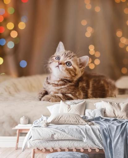 Carta da parati gattino britannico, Natale e Capodanno