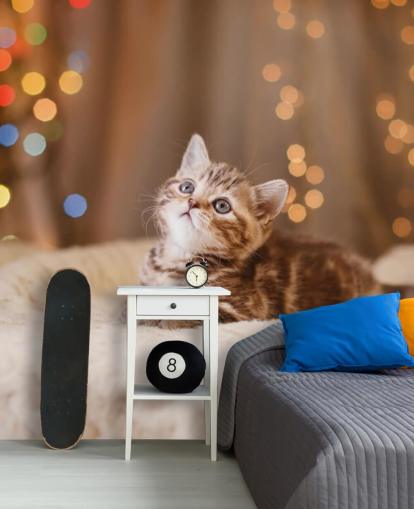 British kitten, Christmas and New Year wallpaper