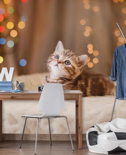 Descargar el fondo de pantalla Gatito británico, Navidad y Año Nuevo Descargar el fondo de pantalla Gatito británico, Navidad y Año Nuevo