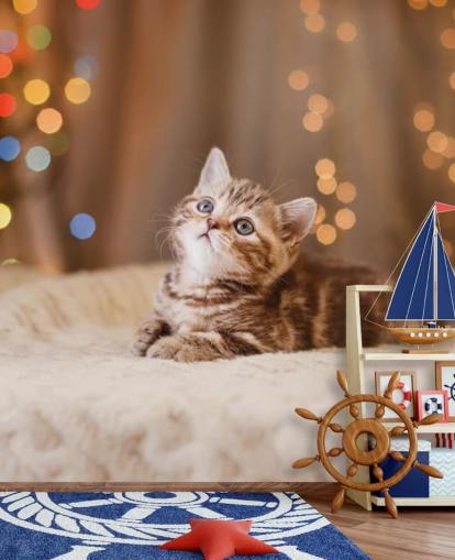 Brittisk kattunge, jul och nyår tapeter