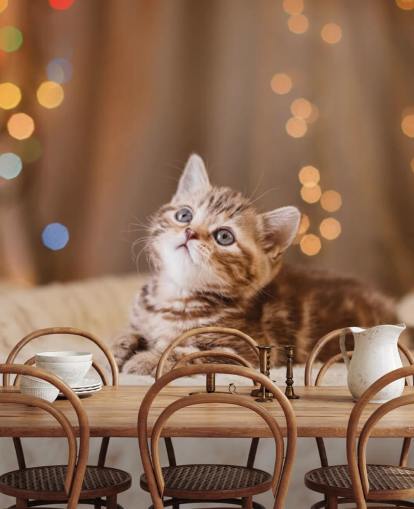British kitten, Christmas and New Year wallpaper British kitten, Christmas and New Year wallpaper