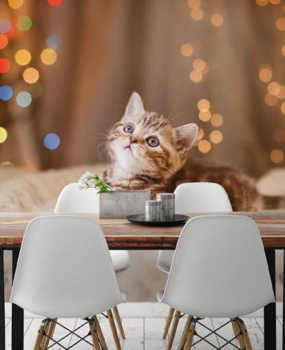 Descargar el fondo de pantalla Gatito británico, Navidad y Año Nuevo