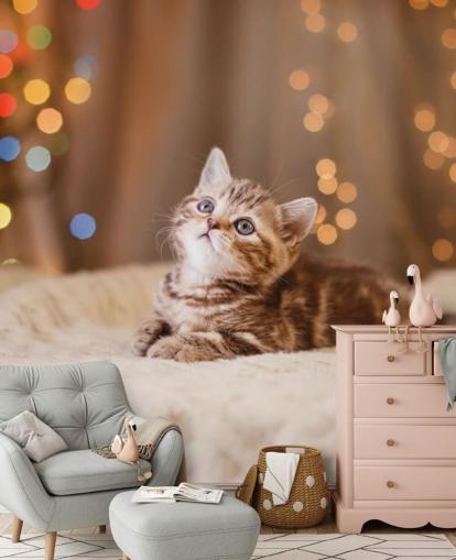 British kitten, Christmas and New Year wallpaper British kitten, Christmas and New Year wallpaper
