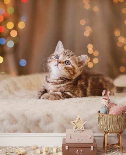 Brittisk kattunge, jul och nyår tapeter Brittisk kattunge, jul och nyår tapeter