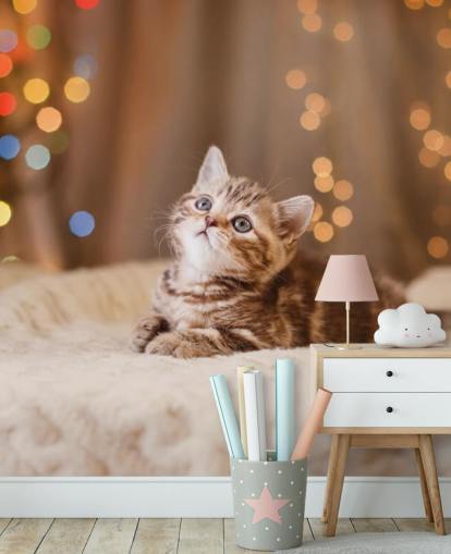 Descargar el fondo de pantalla Gatito británico, Navidad y Año Nuevo