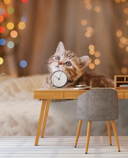 Fond d'écran chaton britannique, Noël et Nouvel An