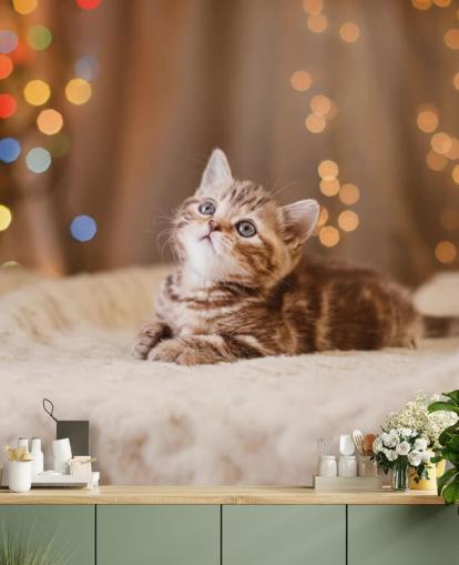 Descargar el fondo de pantalla Gatito británico, Navidad y Año Nuevo