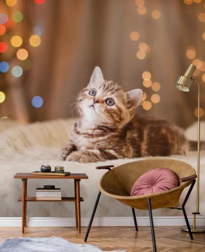 Descargar el fondo de pantalla Gatito británico, Navidad y Año Nuevo