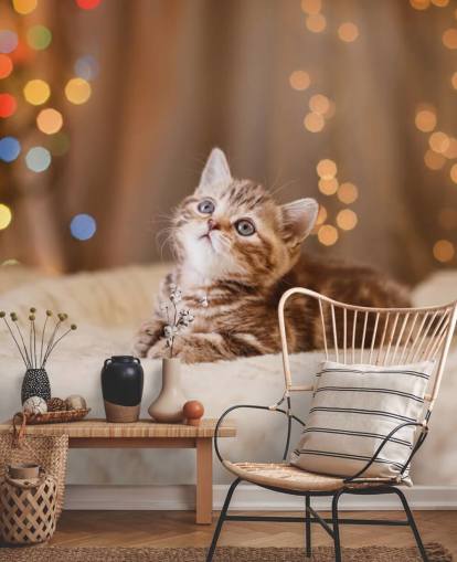 Descargar el fondo de pantalla Gatito británico, Navidad y Año Nuevo