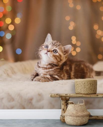 British kattunge, jul og nyttår tapet