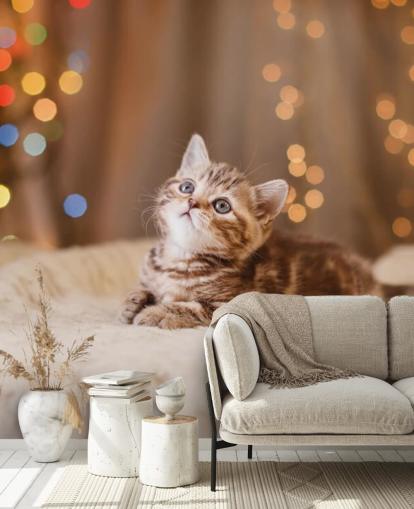 British kitten, Christmas and New Year wallpaper