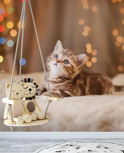 British kitten, Christmas and New Year wallpaper British kitten, Christmas and New Year wallpaper