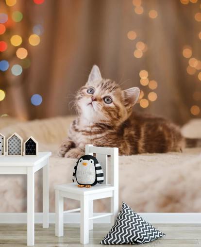 Descargar el fondo de pantalla Gatito británico, Navidad y Año Nuevo