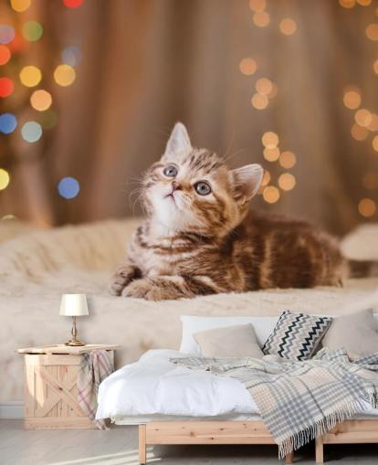 British kitten, Christmas and New Year wallpaper