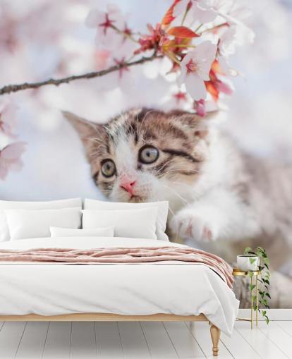 Kitten Climbing a Tree Wall Mural 