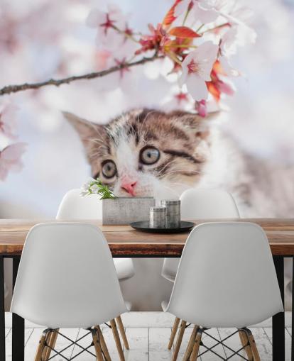 Decorazione murale con gattino che si arrampica 