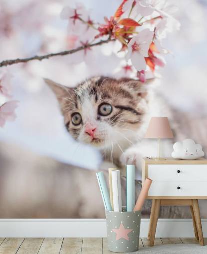 Kitten Climbing a Tree Wall Mural 