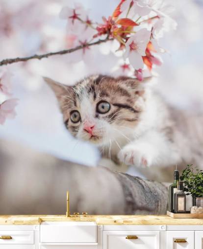 Kitten Climbing a Tree Wall Mural 