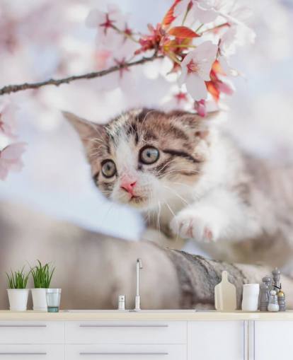 Kitten Climbing a Tree Wall Mural 