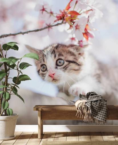 Kitten Climbing a Tree Wall Mural Kitten Climbing a Tree Wall Mural