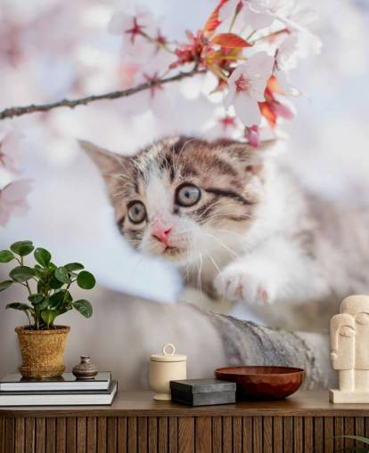 Kitten Climbing a Tree Wall Mural Kitten Climbing a Tree Wall Mural