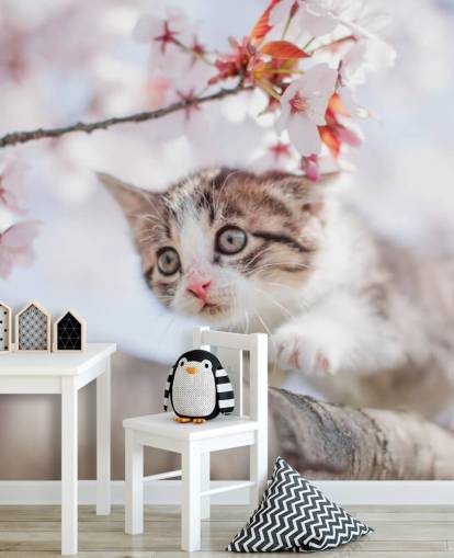 Kitten Climbing a Tree Wall Mural 