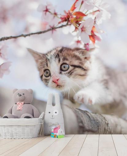 Kitten Climbing a Tree Wall Mural 