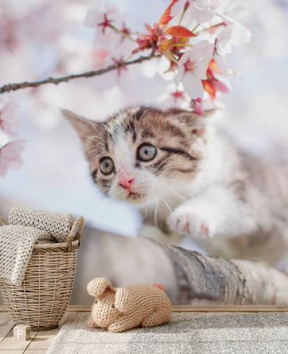Kitten Climbing a Tree Wall Mural 