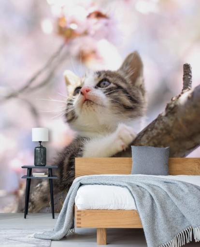 Kitten on Blossom Tree Branch Wall Mural