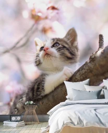 Kätzchen auf Blüte Baum Ast Fototapete