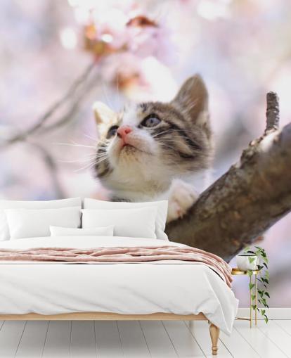 Kitten on Blossom Tree Branch Wall Mural