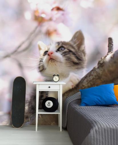 Kitten on Blossom Tree Branch Wall Mural
