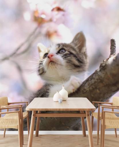 Kitten on Blossom Tree Branch Wall Mural