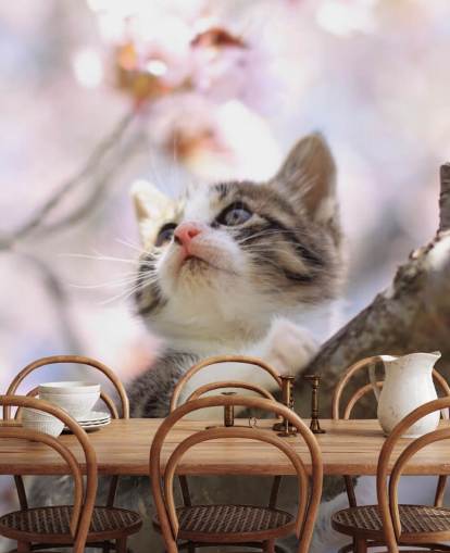 Kitten on Blossom Tree Branch Wall Mural Kitten on Blossom Tree Branch Wall Mural