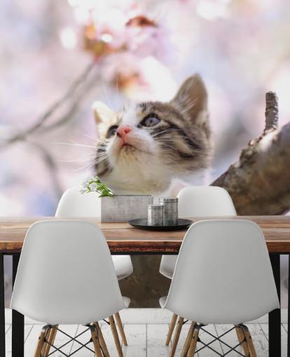 Kitten on Blossom Tree Branch Wall Mural