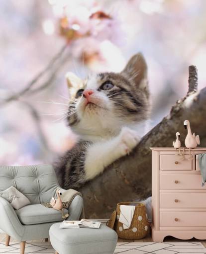 Kitten on Blossom Tree Branch Wall Mural