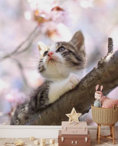 Kattunge på Blossom träd gren väggmålning