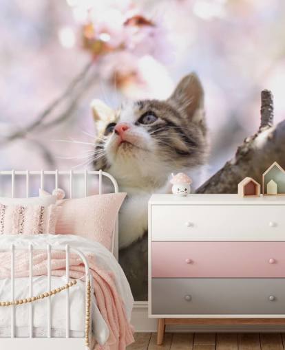 Kitten on Blossom Tree Branch Wall Mural