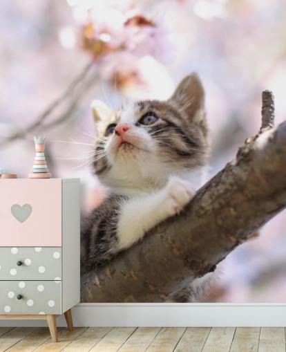 Kitten on Blossom Tree Branch Wall Mural Kitten on Blossom Tree Branch Wall Mural