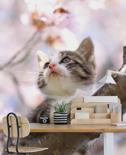Kitten op Blossom Tree Branch Muurschildering