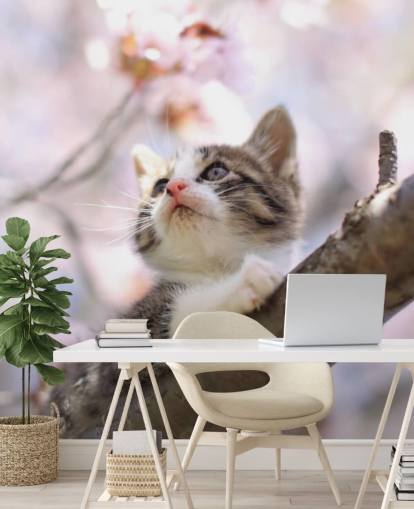 Kitten on Blossom Tree Branch Wall Mural