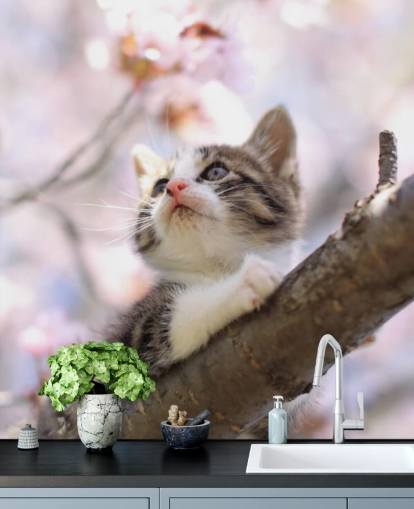 Kattunge på Blossom Tree Branch Veggmaleri Kattunge på Blossom Tree Branch Veggmaleri