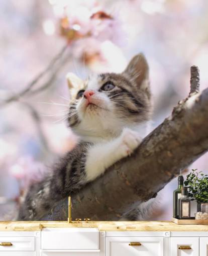 Kitten on Blossom Tree Branch Wall Mural Kitten on Blossom Tree Branch Wall Mural