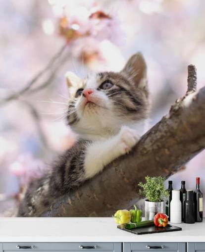 Kätzchen auf Blüte Baum Ast Fototapete