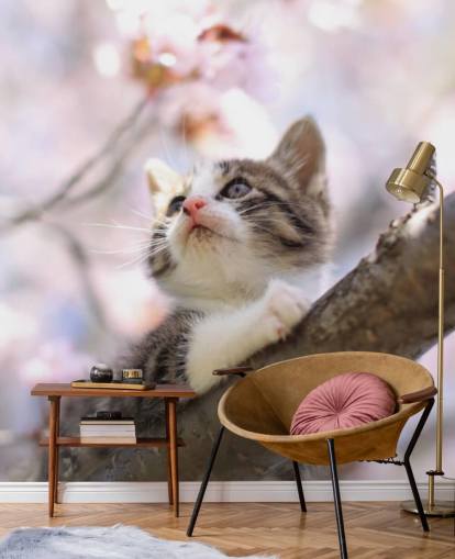 Kitten on Blossom Tree Branch Wall Mural