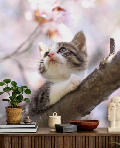 Kitten on Blossom Tree Branch Wall Mural