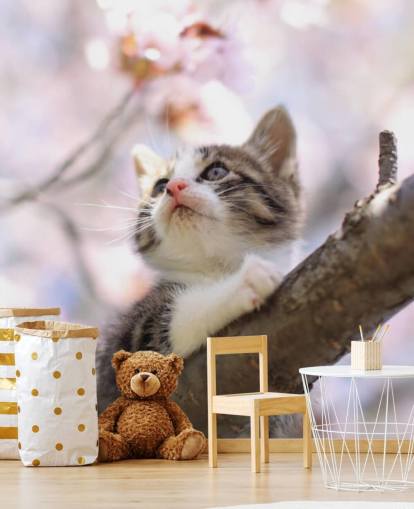 Kitten on Blossom Tree Branch Wall Mural
