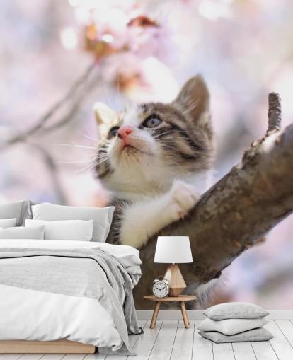 Kitten on Blossom Tree Branch Wall Mural Kitten on Blossom Tree Branch Wall Mural